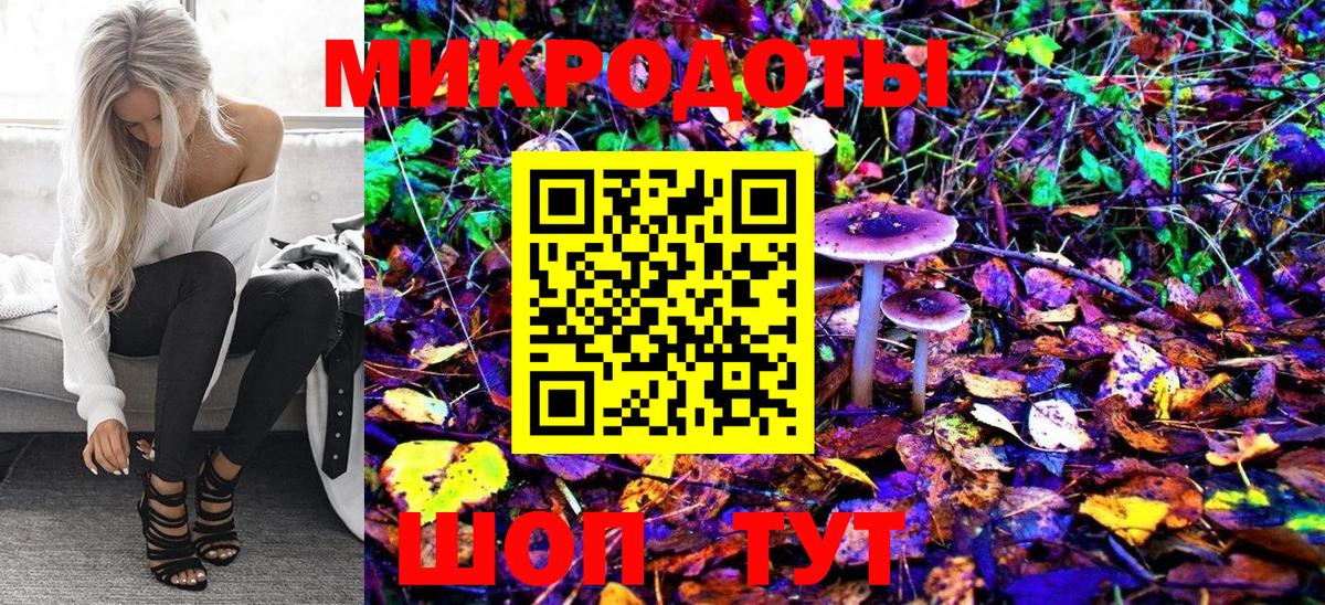 Псилоцибиновые грибы Psilocybe  Вход с VPN  Бердск 