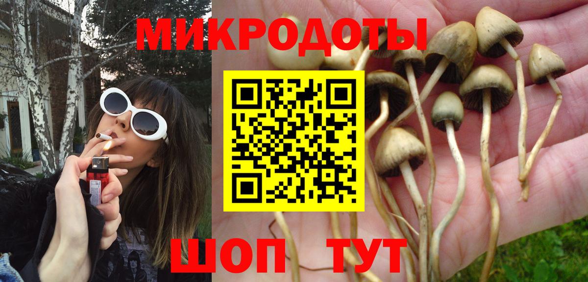 Галлюциногенные грибы ЛСД Бердск